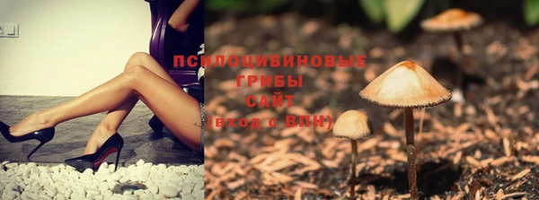 не бодяженный Армянск