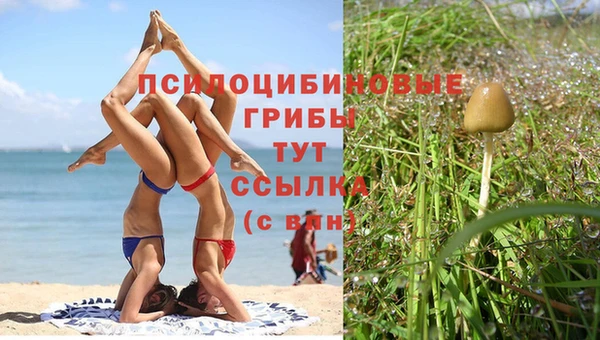 не бодяженный Армянск